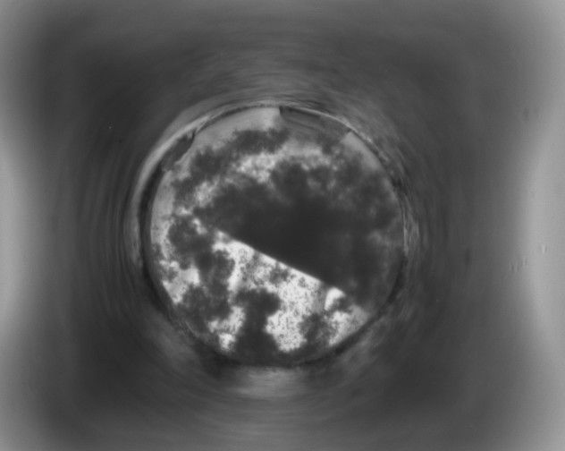 X0000086260198200704262002