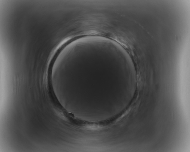X0000086260200200704262002