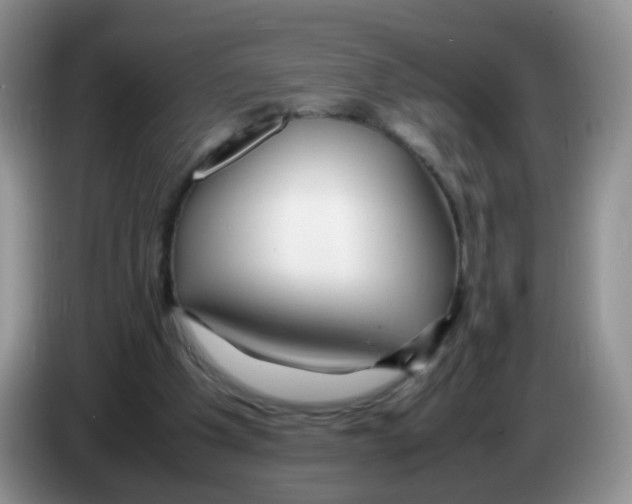 X0000086260201200704262002