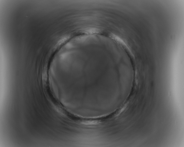 X0000086260202200704262002