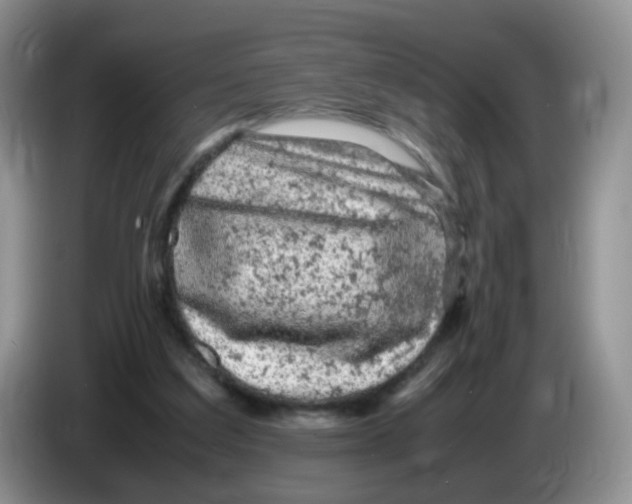 X0000086260203200704262002