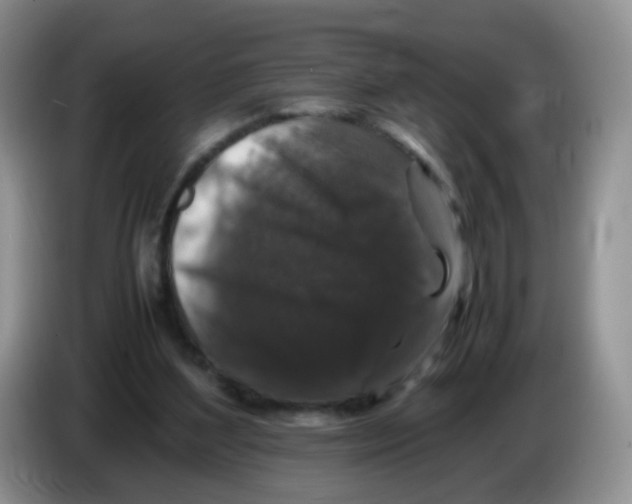 X0000086260204200704262002
