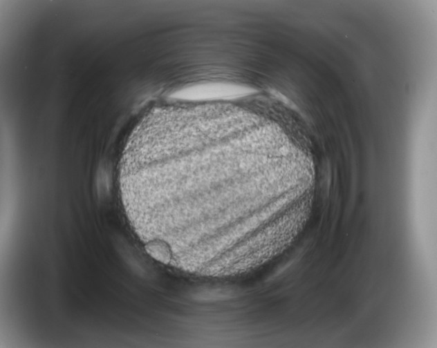 X0000086260206200704262002