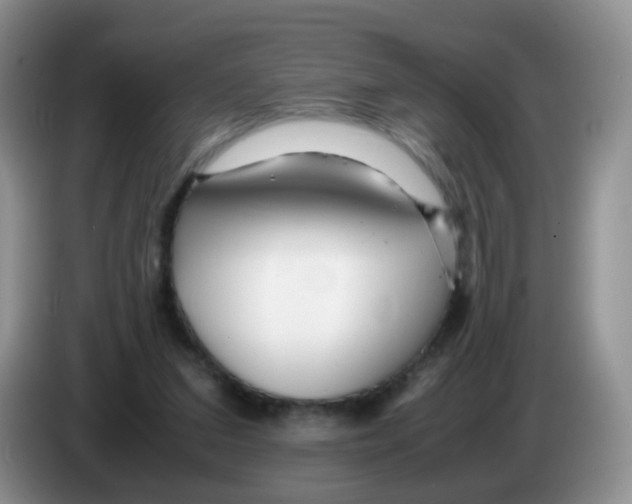 X0000086260207200704262002