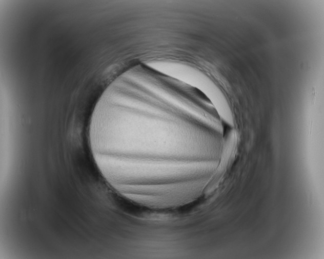 X0000086260209200704262002