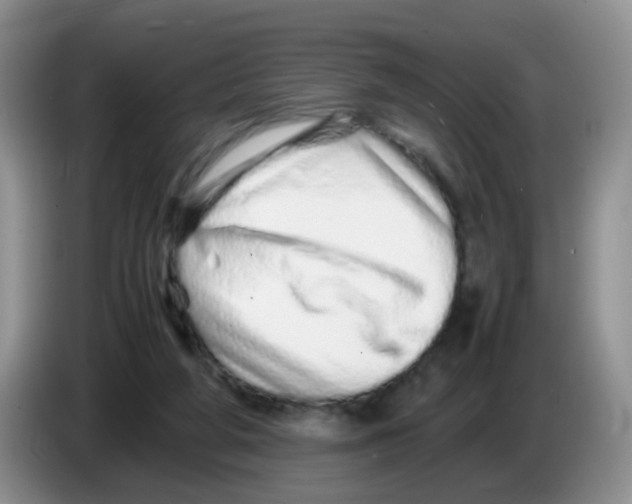 X0000086260210200704262002