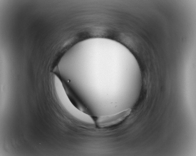 X0000086260211200704262002