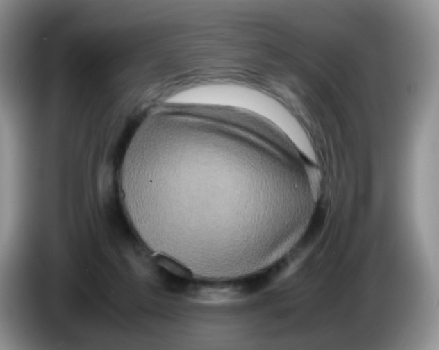 X0000086260213200704262002