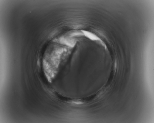X0000086260214200704262002
