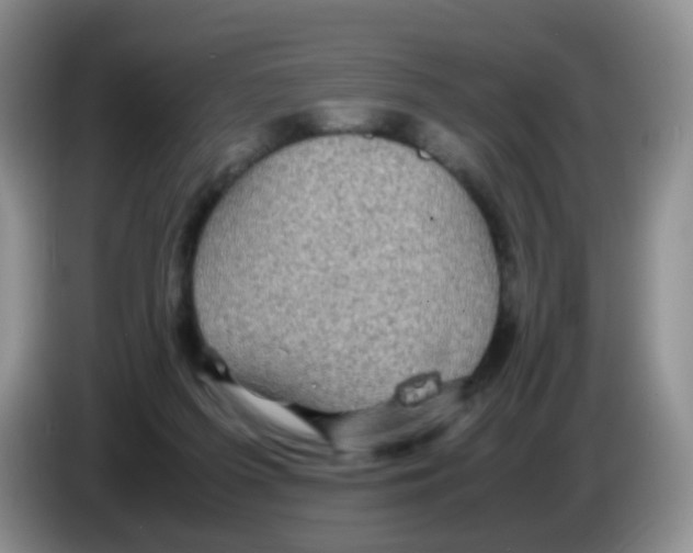 X0000086260215200704262002