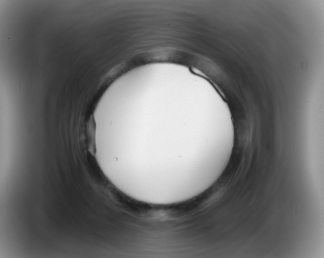 X0000086260216200704262002