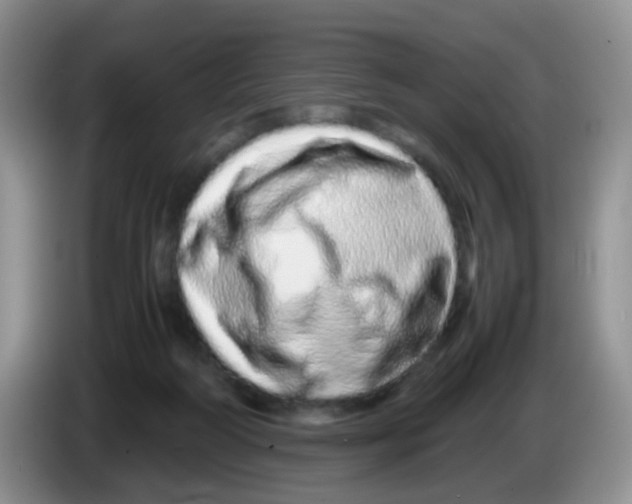X0000086260218200704262002