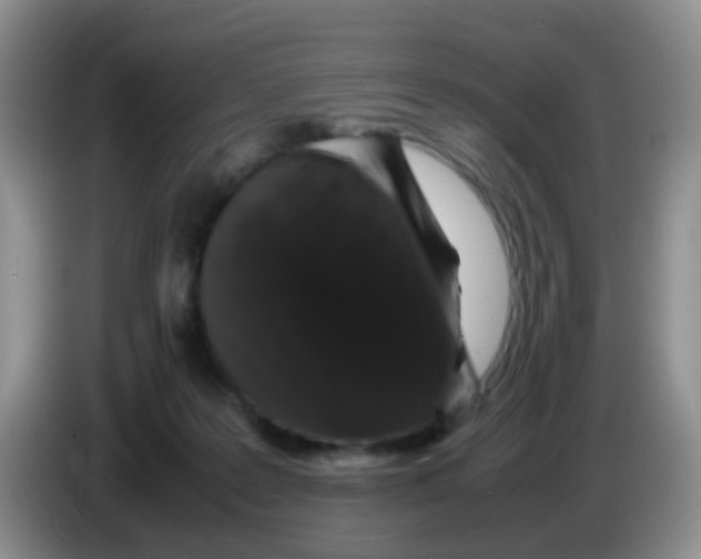 X0000086260219200704262002