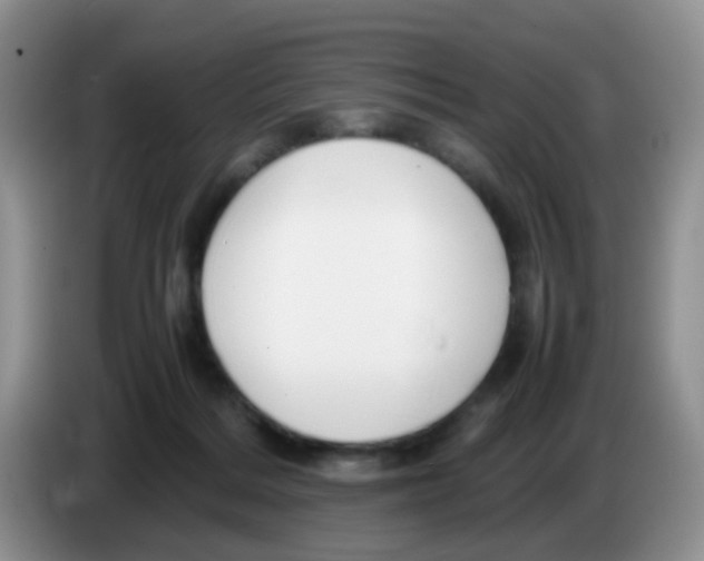 X0000086260220200704262002