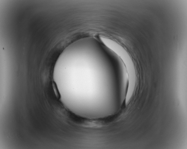 X0000086260221200704262002