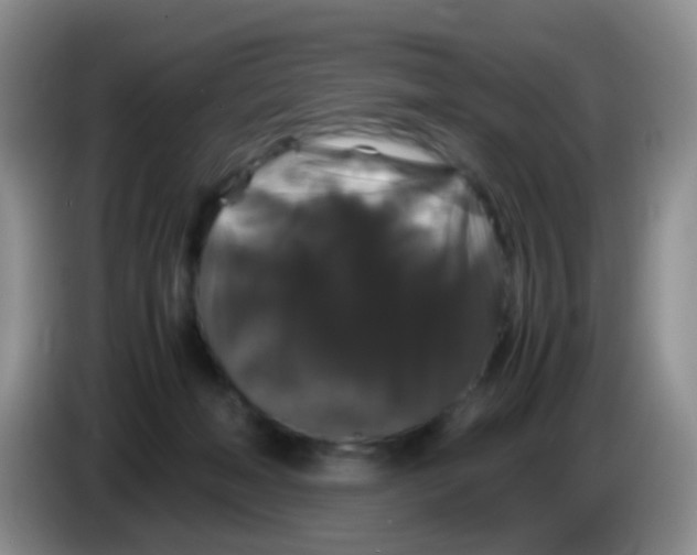 X0000086260222200704262002
