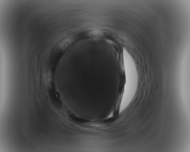 X0000086260223200704262002