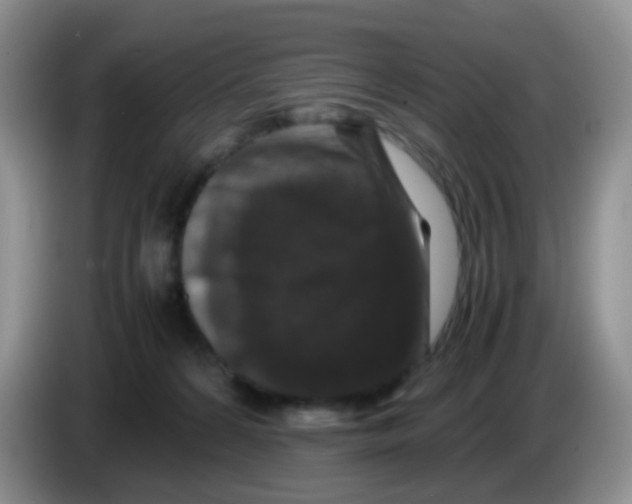 X0000086260224200704262002