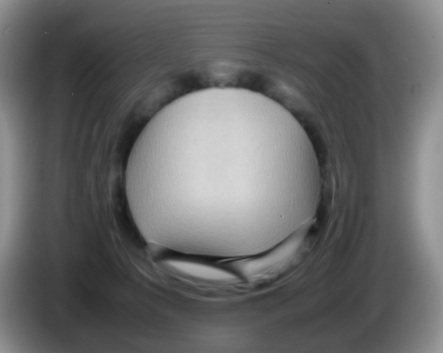 X0000086260225200704262002