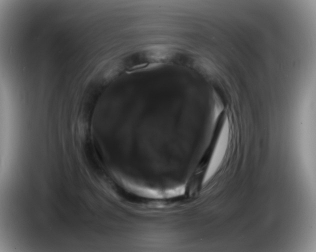 X0000086260227200704262002