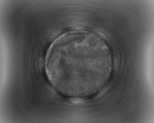 X0000086260230200704262002