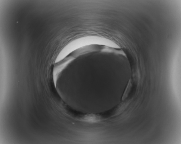 X0000086260231200704262002