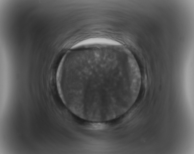 X0000086260233200704262002