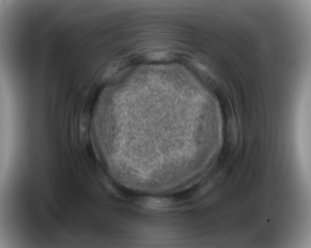 X0000086260234200704262002