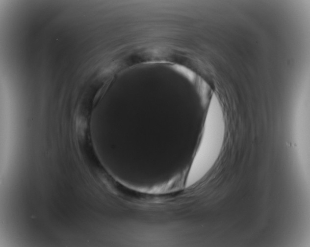 X0000086260235200704262002