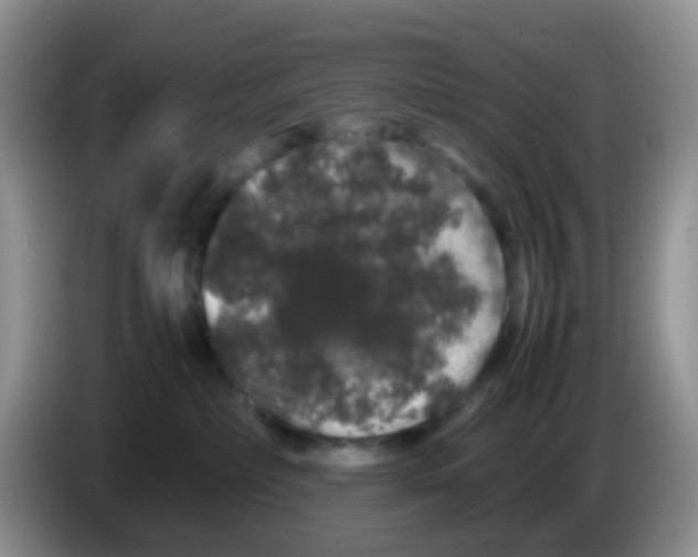X0000086260236200704262002