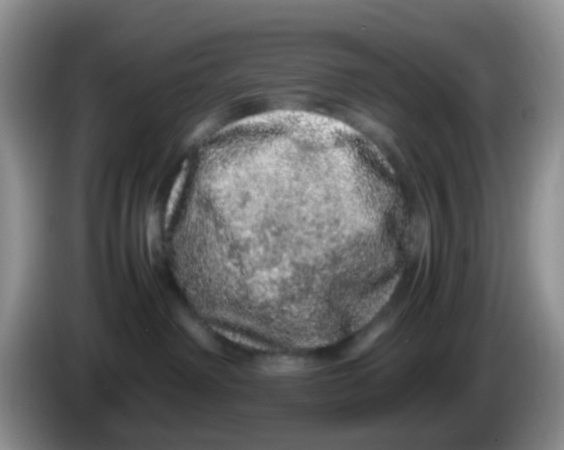X0000086260238200704262002