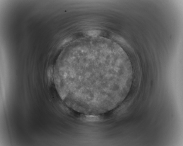 X0000086260240200704262002
