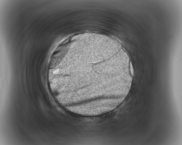 X0000086260241200704262001