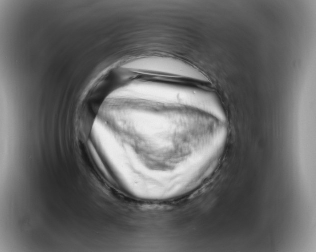 X0000086260242200704262001