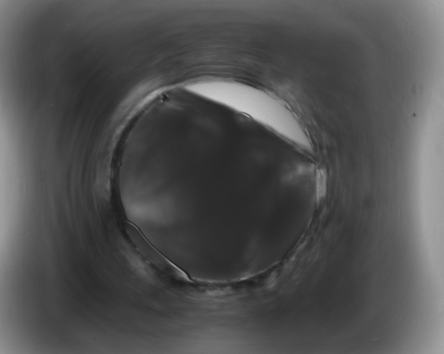 X0000086260243200704262001
