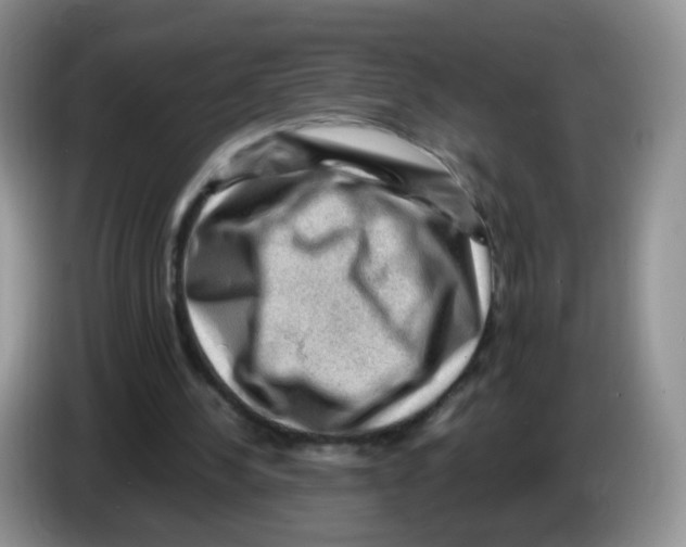 X0000086260244200704262001