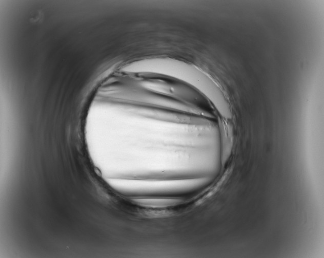 X0000086260245200704262001
