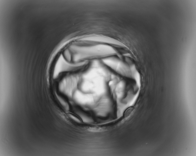 X0000086260246200704262001
