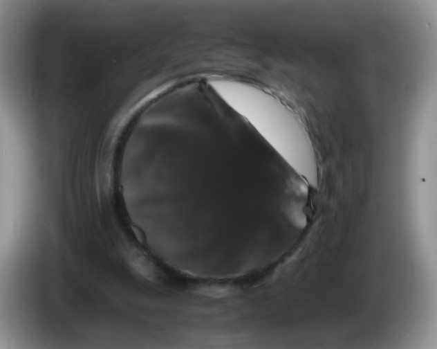 X0000086260247200704262001