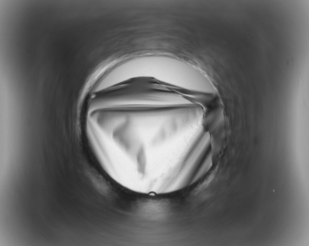 X0000086260248200704262001