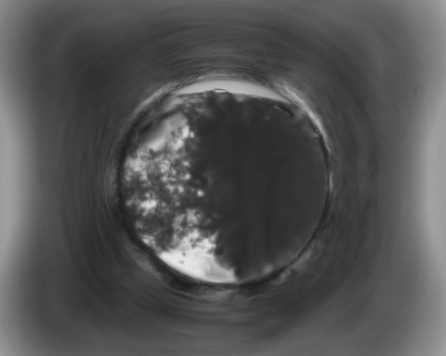 X0000086260249200704262001