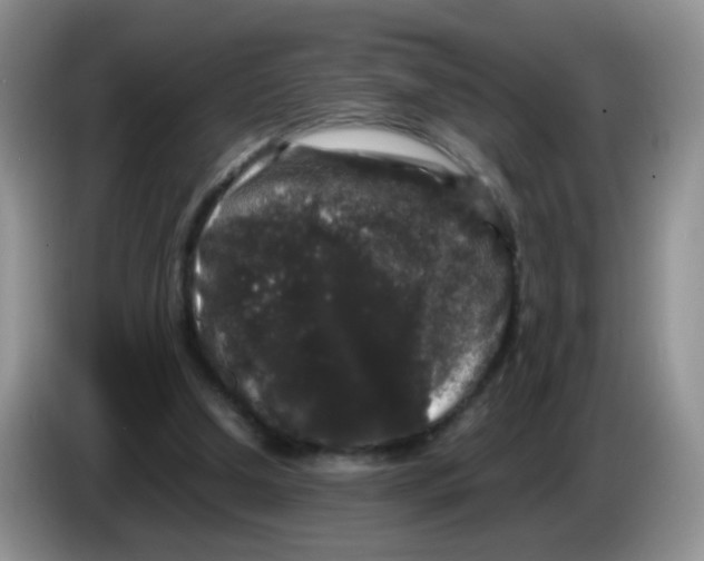 X0000086260250200704262001