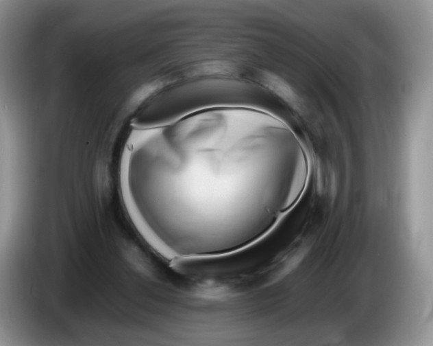 X0000086260252200704262001