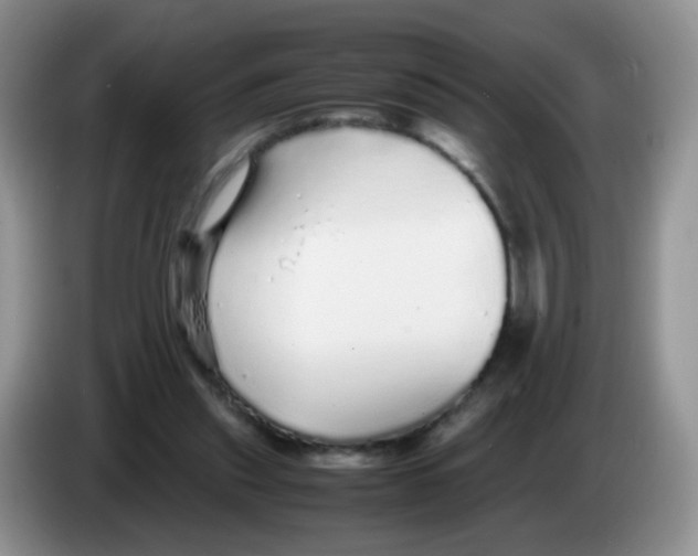 X0000086260253200704262001
