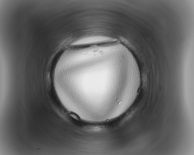X0000086260254200704262001