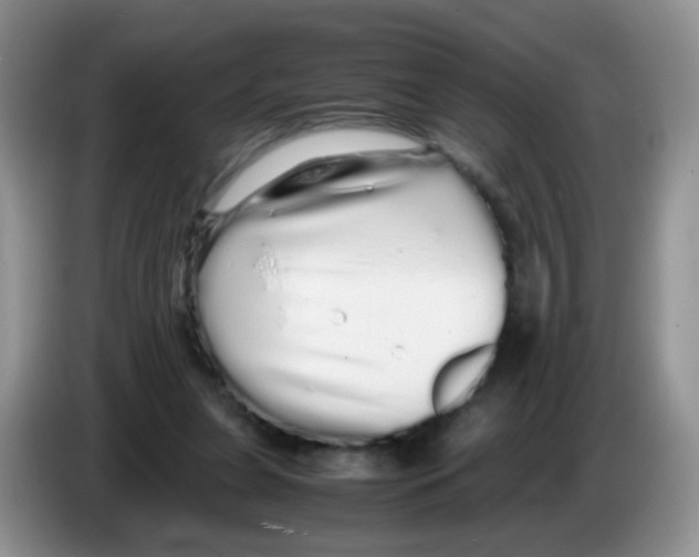 X0000086260255200704262001