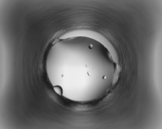 X0000086260256200704262001