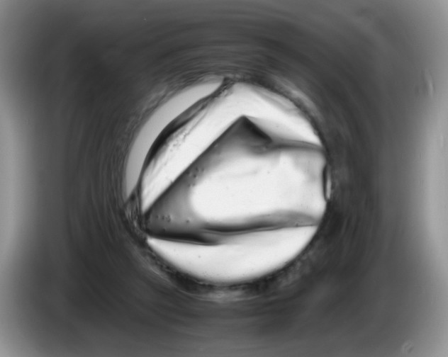 X0000086260257200704262001