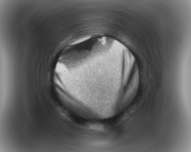 X0000086260258200704262001