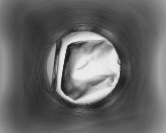 X0000086260259200704262001